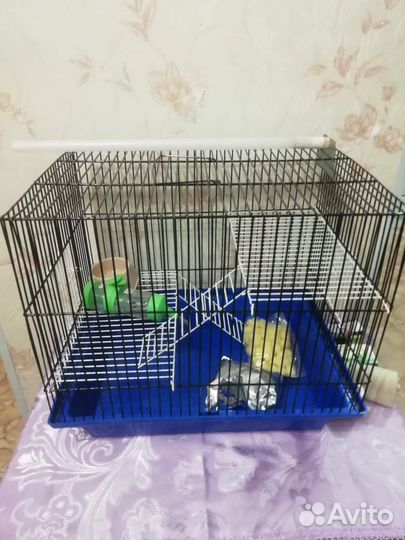 Клетка для грызунов