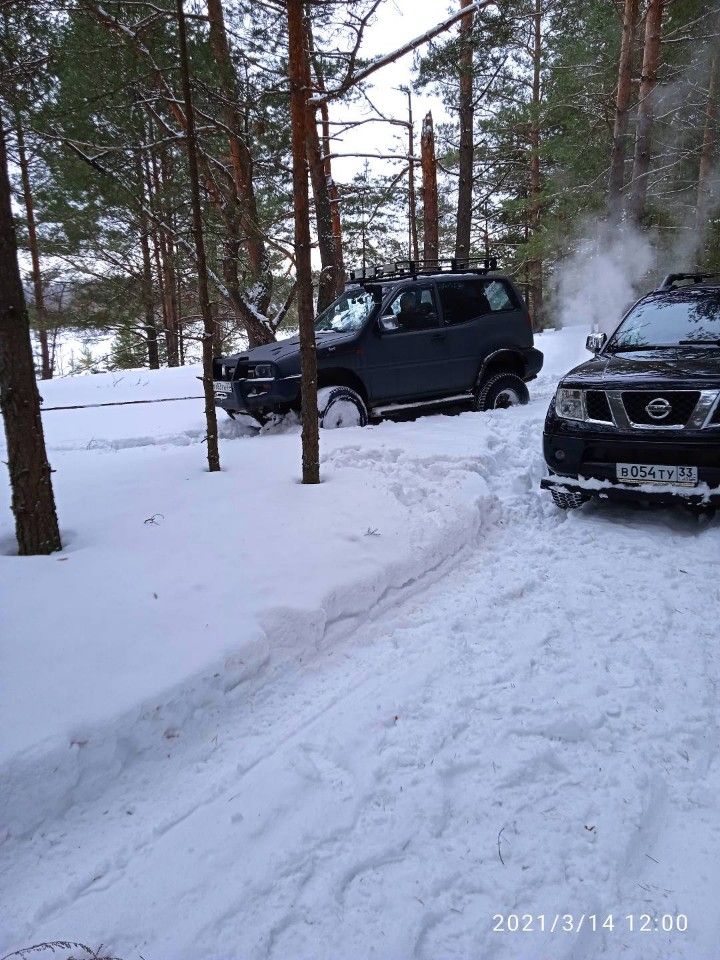 Nissan Navara: фото владельца