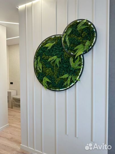 Стабилизированный мох панно