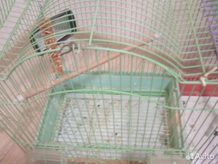 Клетка для среднего попугая