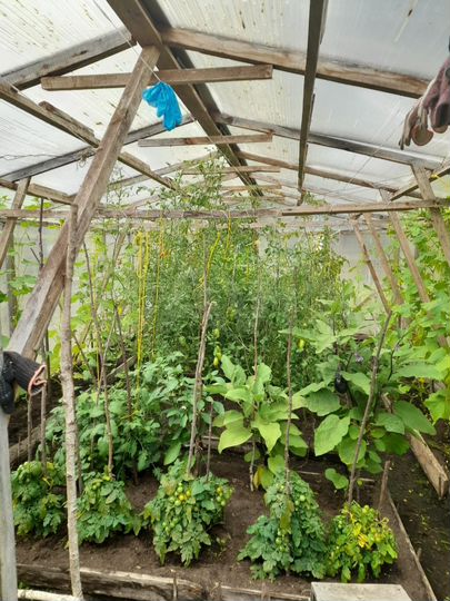 Дача 30 м² на участке 6 сот.