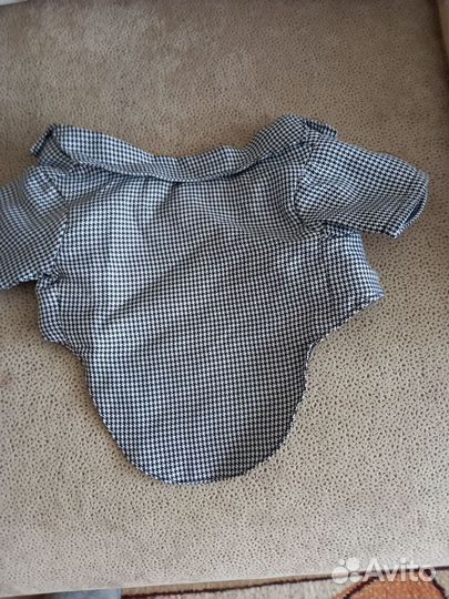 Одежда для маленьких собачек