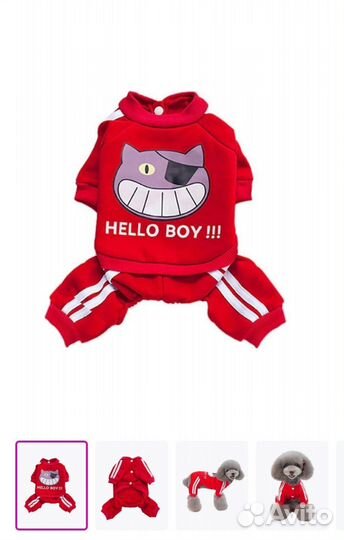 Одежда для маленьких собак