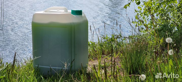 Хлорелла для очистки пруда