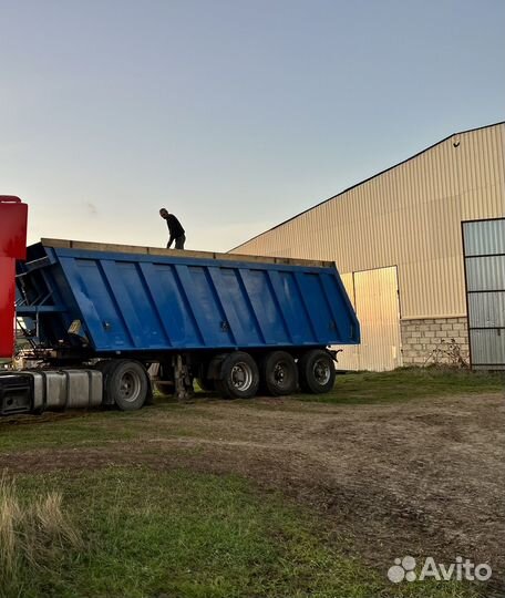 Полуприцеп самосвальный Тонар 9523, 2005