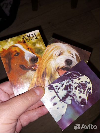Наборы открыток и фото, животные