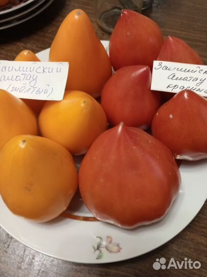 Семена коллекционных сортов томатов