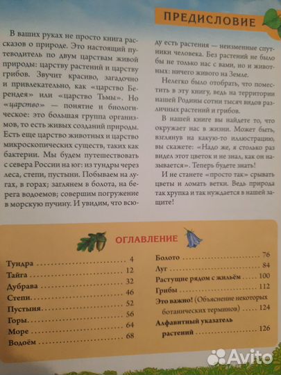 Книга - подарок