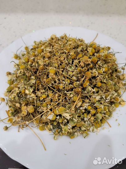 Ромашка аптечная лекарственная