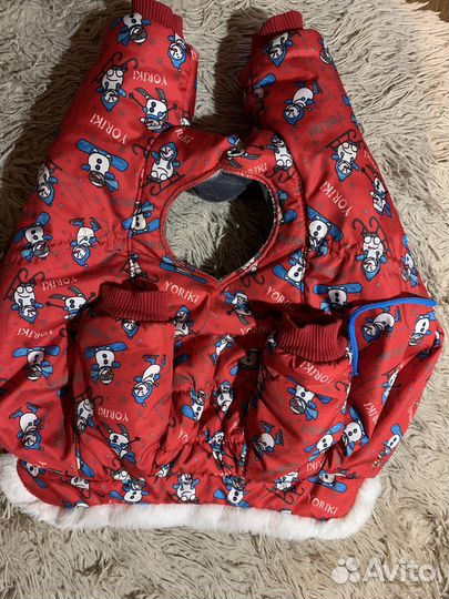 Комбинезон для собаки (кобеля)