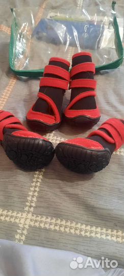 Ботиночки для собак