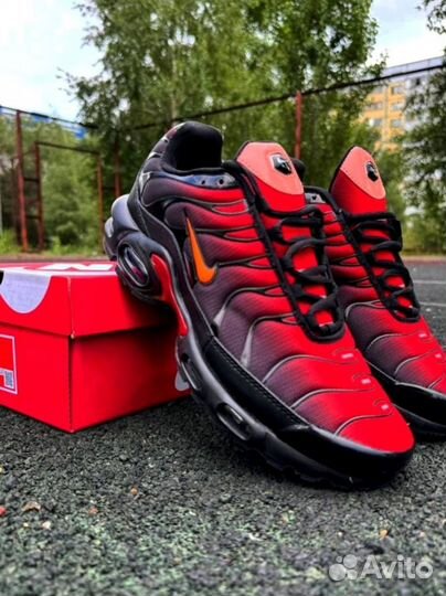 Nike Air max to plus