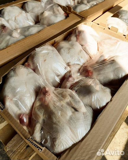 Фермерское мясо птицы, кур, цыплят - бройлеров
