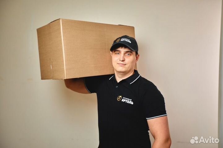 Грузчики с ежедневной оплатой. Свободный график