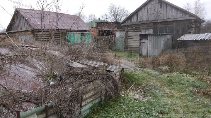 Дом 50 м² на участке 40 сот.