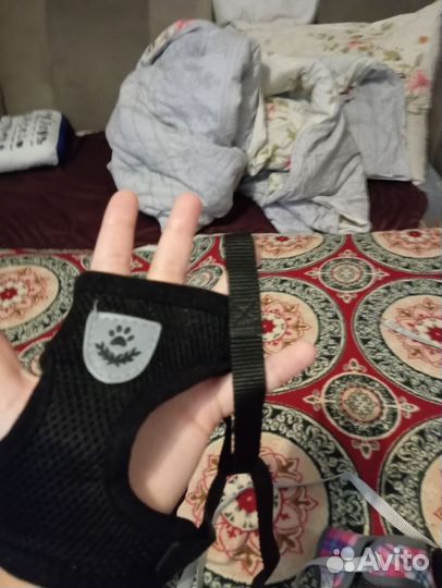 Шлейки И поводки для собак