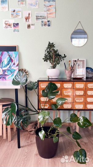 Помещение для мастер-классов, мероприятий