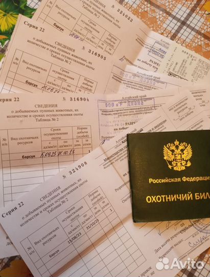 Барсучий жир