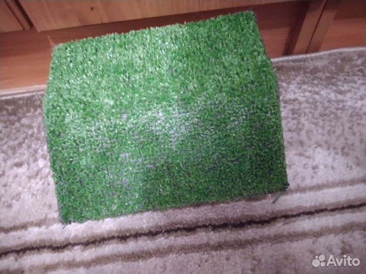 Мостик для черепахи