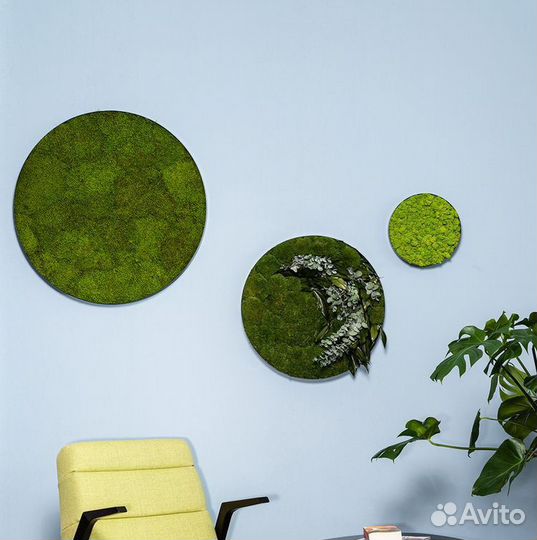 Картина из мха круглая