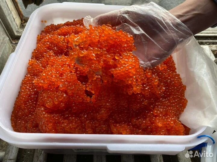 Икра лососевых 2023г, Горбуша, Форель, с/с, 500гр