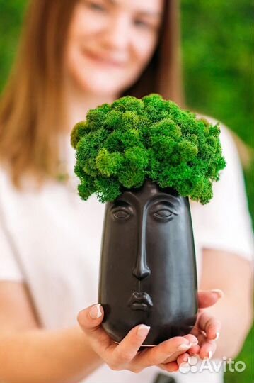 Стабилизированный мох, кашпо