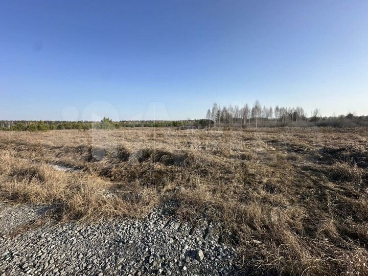 Участок 10 сот. (СНТ, ДНП)