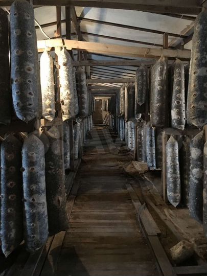 Участок 36 сот. (СНТ, ДНП)