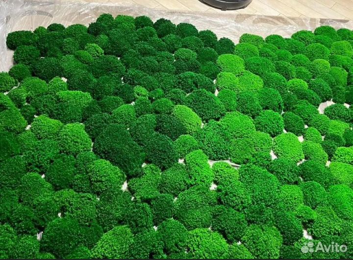 Отличный натуральный мох для декора