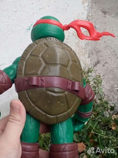 Черепашка-ниндзя