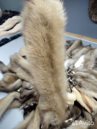 Куница шкуры
