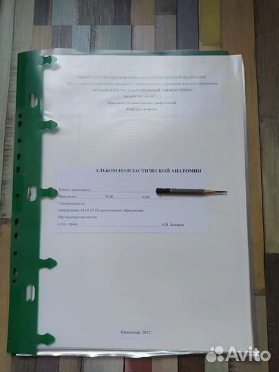 Папка по анатомии