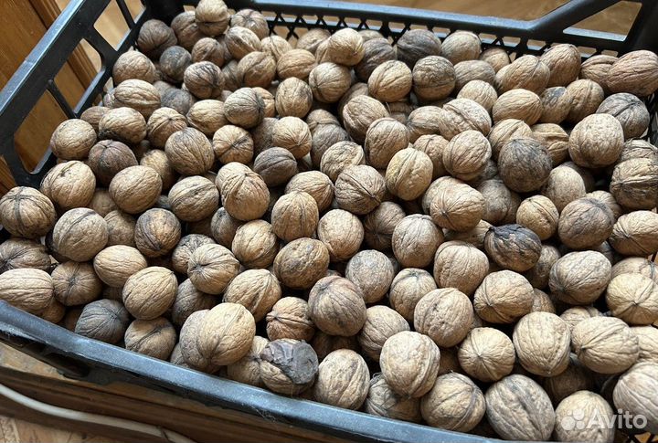 Грецкий орех в скорлупе