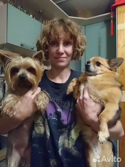 Передержка собак мини и малых пород