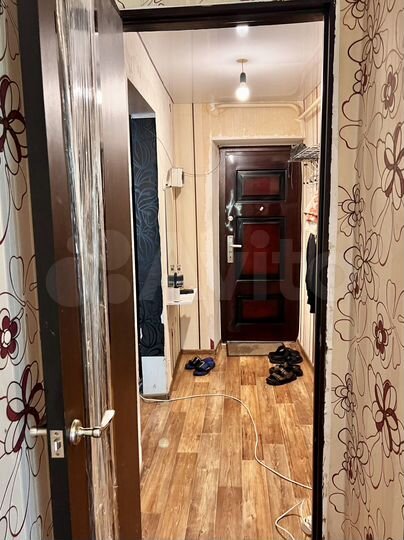 1-к. квартира, 26,8 м², 1/2 эт.