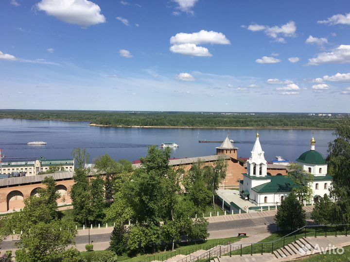 Гид- экскурсовод