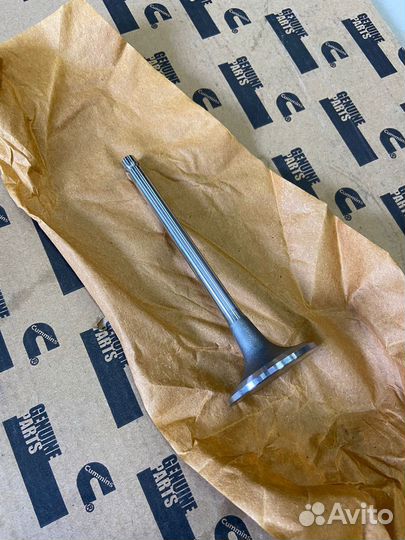 Клапан впускной Cummins 4BT 6BT EQB