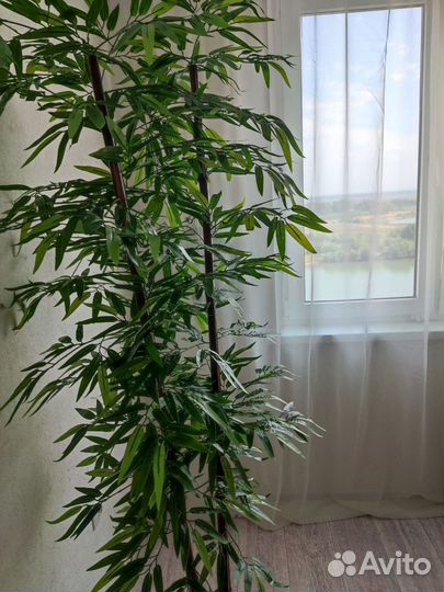 Искусственные растения деревья бамбук