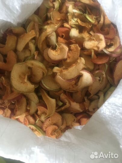 Запасы с дачи