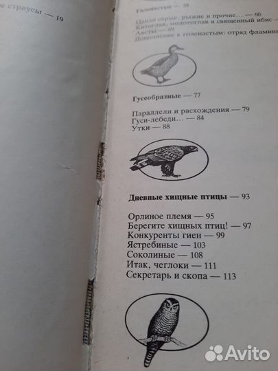 Мир животных Акимушкин