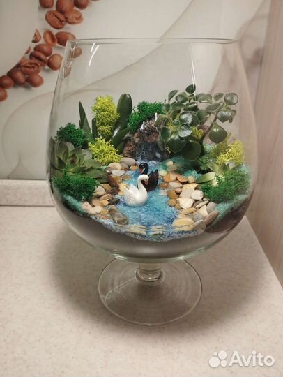 Флорариум, моссариум, композиция, цветы