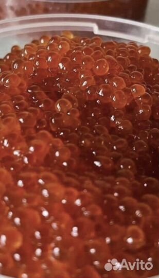 Красная икра 2023