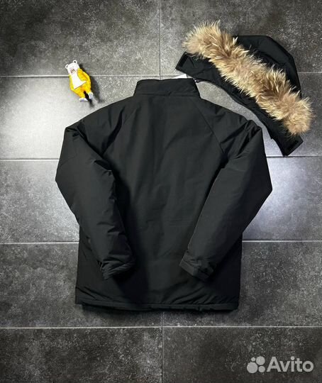 Зимняя куртка Lyle Scott