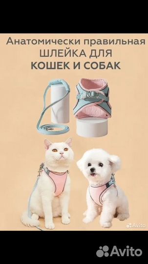 Шлейка для маленькой собаки