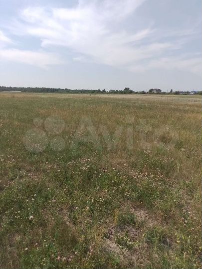 Участок 6 га (СНТ, ДНП)