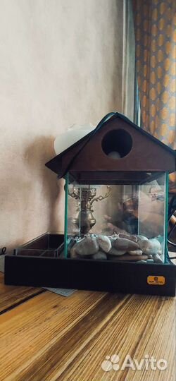 Аквариум c флорариумом