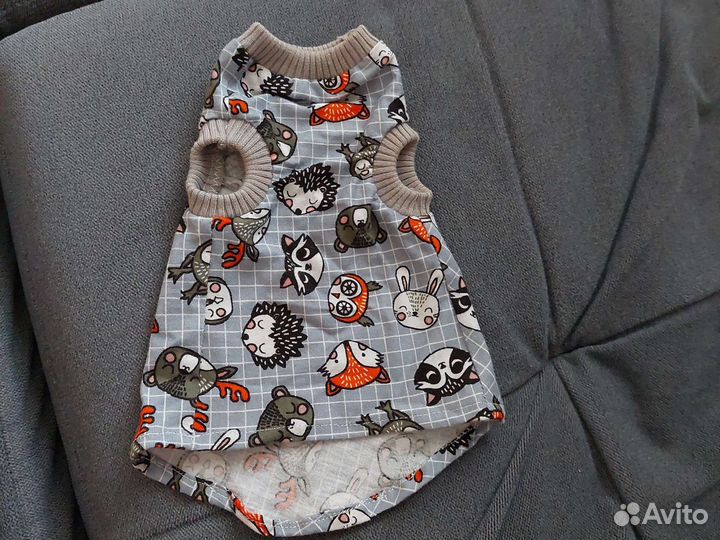 Одежда для сфинкса 4-6 месяцев