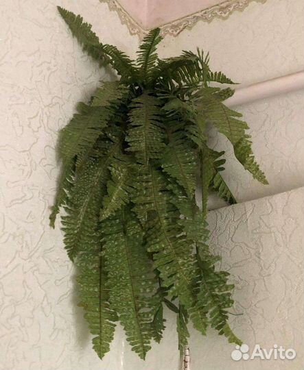 Цветы искусственные