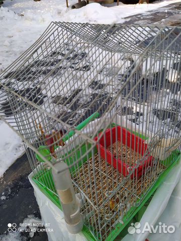 Клетка для птичек