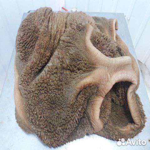 Натуральный Корм для ваших любимых питомцев